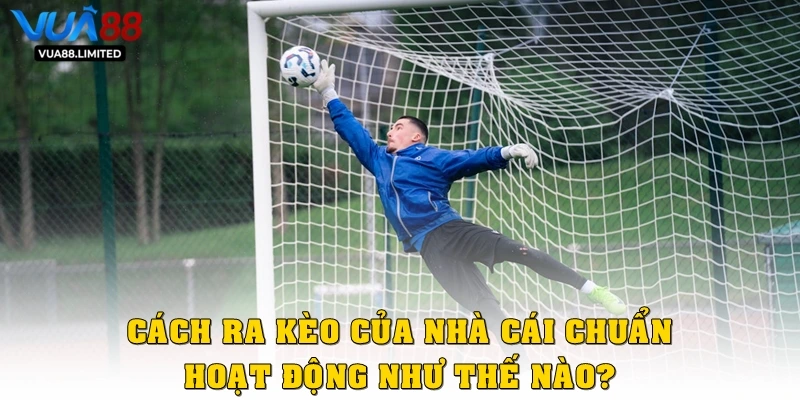 Cách ra kèo của nhà cái chuẩn hoạt động như thế nào?